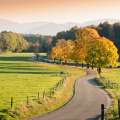 Steady Wins The Race