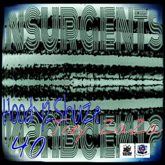 Insurgents Ft.Hoody2Shuze & Joey Za Za & 4O Produced By ZillaSounds
