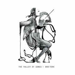 Woo York - The Valley Of Songs (Original Mix)