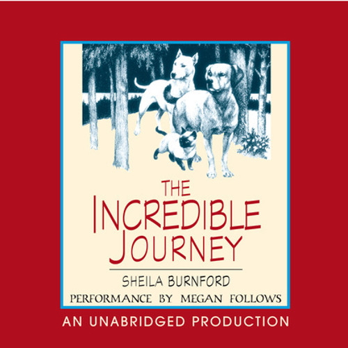 the incredible journey book summary