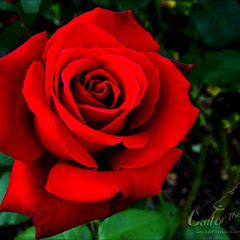 Rafet El Roman feat. Ezo - Kalbine Sürgün