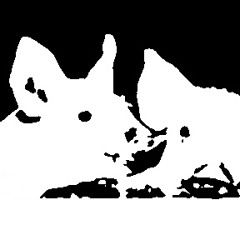 Sketch4(あったかい）