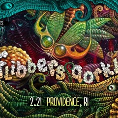 illDub @ Flibbersqorkle, 02.21.2015 (DJ Set)