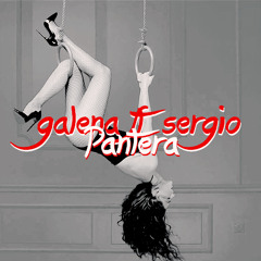 Pantera | Galena & Sergio