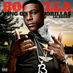 Lil Boosie- What I Learned From The Streets Slowed Down