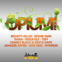 Opium Riddim Mix - Payday Music Group - 2015