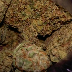 GRN-Tez "Fuk yo opinion"