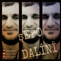 Tu şêrînî at Shero DALINI.JI ELBOMA ZEVIYEK EVÎN