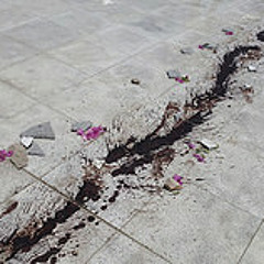 تهون الحياة - أحمد عبد الفتاح