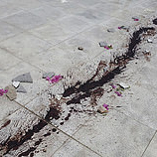 تهون الحياة - أحمد عبد الفتاح