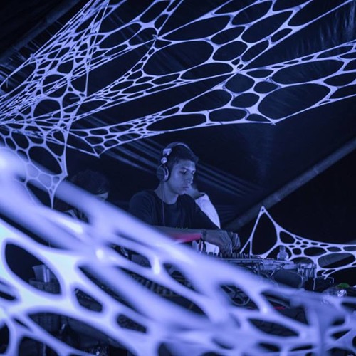 Noises in the forest (2015 set)