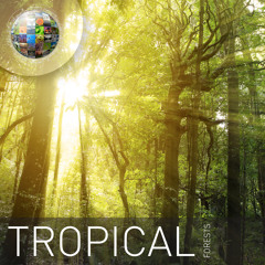 Tropical Forests Demo