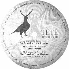 Gianmaria Coccoluto - The Travel Of The Elephant (Raffaele Attanasio Remix)