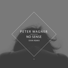 Peter Wagner - No Sense (Evva Remix) CLIP