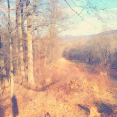 A Thaisce, Riamh: Concerto for Fídíl and Orchestra