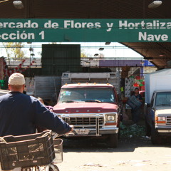 Un corrido por la Central