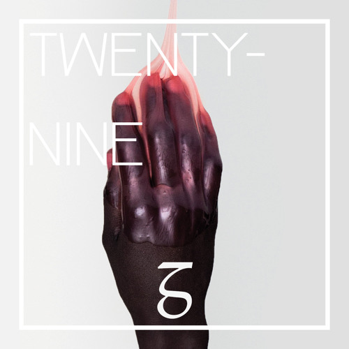 TWENTY NINE