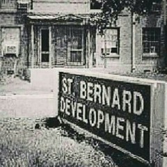 Cdskip - 0 to the st.Bernard