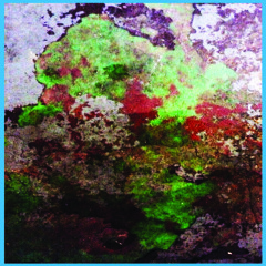 LST -  Lewd Strewth Truth (A3 from LP, Th Duo.)