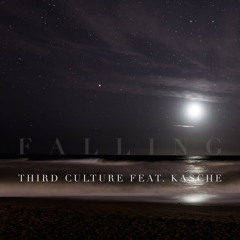 Third Culture Feat. Kasche - Falling (Original Mix)