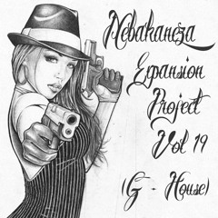 Expansion Project Vol. 19 (G House)