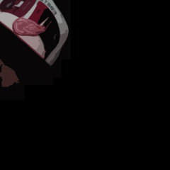 Every Day ( Prod. By Jcity & Cripla )