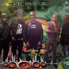 RickyVybz And Friends