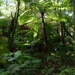 Little dragon - Twice (16 Bit Remix)