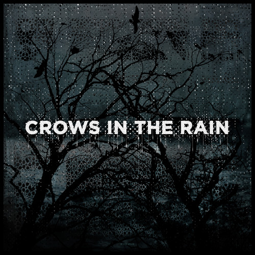 crows in the rain