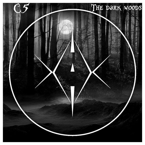 The Dark Woods