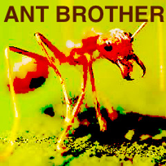 ANT BROTHER (aka Sean Candy) Earth Freq- Downtempo Set