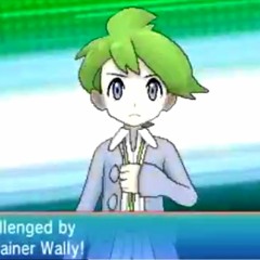 Pokemon Omega Ruby/Alpha Sapphire - Battle! Wally - 8 Bit