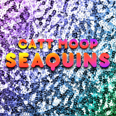 Seaquins (Broad City S2E7)