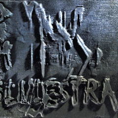 d mente siniestra - vuelo terrorismo