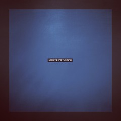 Ron Costa - No Beta For This Dog [Potobolo Records]