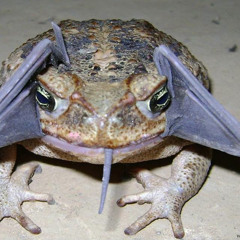 Happu birthday Cubby@