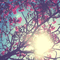 Hello spring!