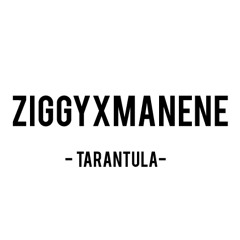 ZIGGY & Manene - Tarantula (original mix)