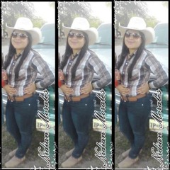 Son De La Vaquilla --  Banda MS   Sones Con Banda