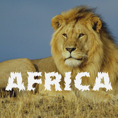 Africa: Project By Alex, Hunter and Matthew