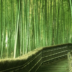 Bamboos