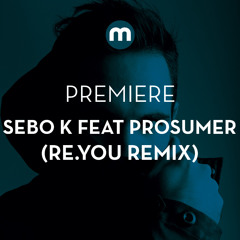 Premiere: Sebo K 'Moved' feat Prosumer (Re.You's b2b Cut Remix)
