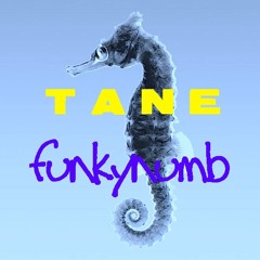 Funkynumb