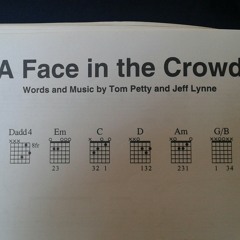 Tom Petty Cover - face in the crowd