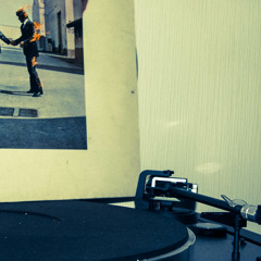 tobias witzel - peter und die wildgänse (lounge remix)