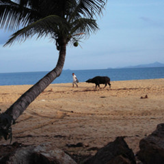 05 Evert & ill - Haast!