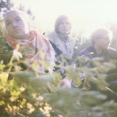 Sleeps Like an Angry Bear - Bara