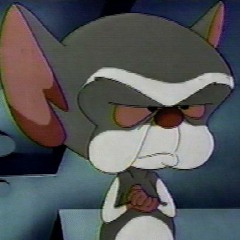 Pinky And The Brain Intro