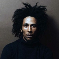 NiceTime (Bob Marley Remix)