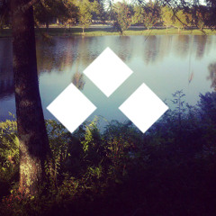 lamento que no lo hice